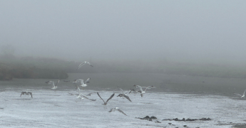 Que sont les « entrées maritimes » ?