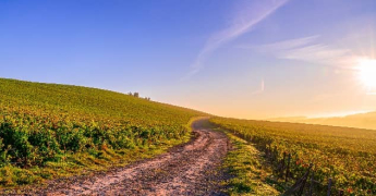 Pourquoi les températures peuvent être très différentes d’une région à l’autre ?