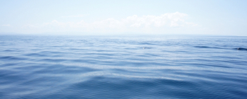 L’observation en mer.
