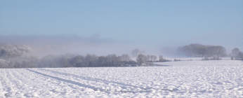 Neige en plaine.