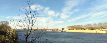 Mistral glacial en Camargue