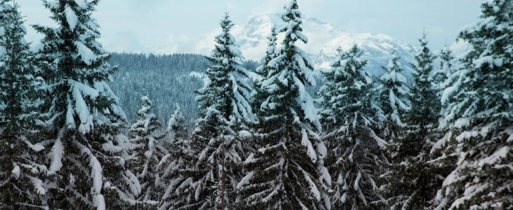 Neige sur les Pyrénées