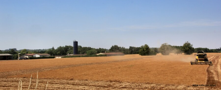 Il fait chaud sur la France depuis le 1er juin.