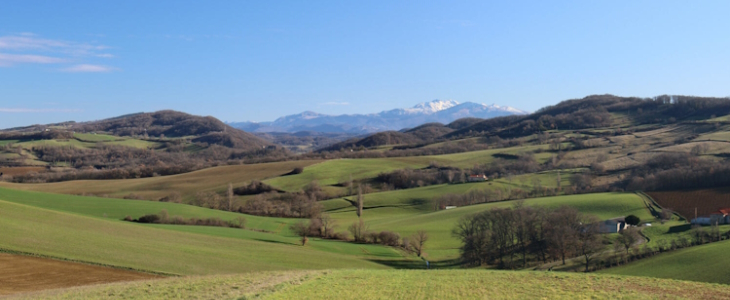 Paysage ariégeois cette fin janvier.