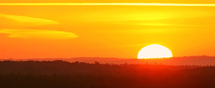 Quelques brumes matinales très vite évaporées avant que la chaleur ne s'installe (Maine et Loire).