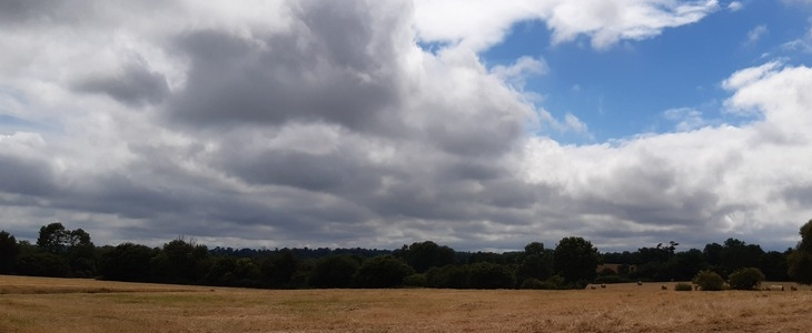 Les nuages prédomineront cette semaine.