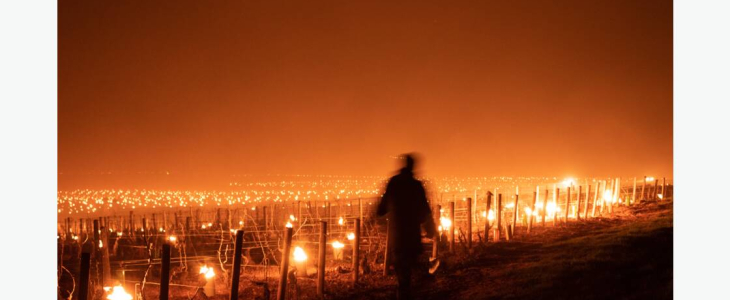 La vague de gel tardif du printemps dernier a été un électrochoc pour le monde agricole.
