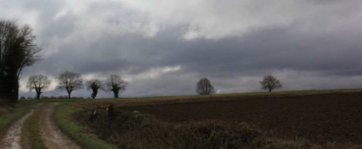Pluie.