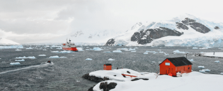 Antarctique : températures exceptionnelles et recul record de la banquise.