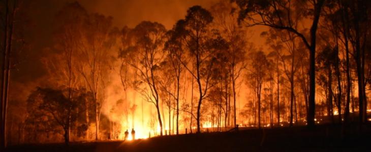 Australie - Incendies