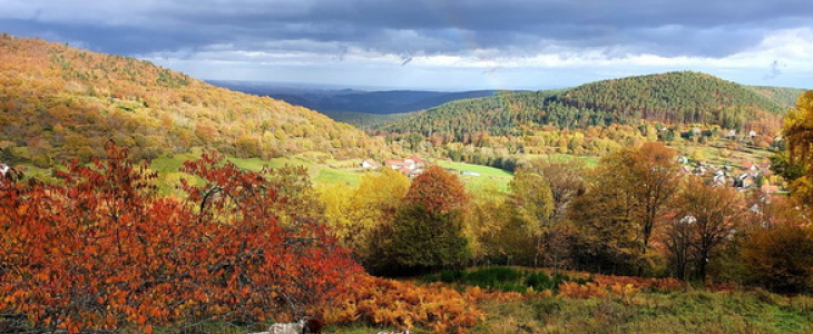Automne.