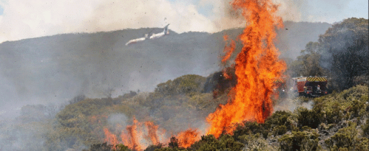 Un incendie ravage depuis vendredi le massif du Maïdo sur l'île de La Réunion