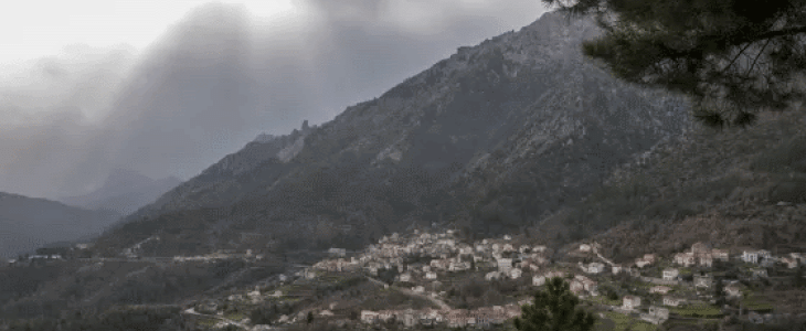 Illustration gelées en Corse - © Getty Images