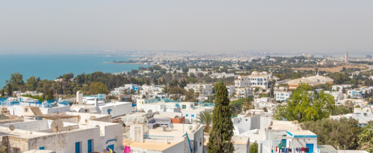 Il a fait 49,0 °C à Tunis (Tunisie).