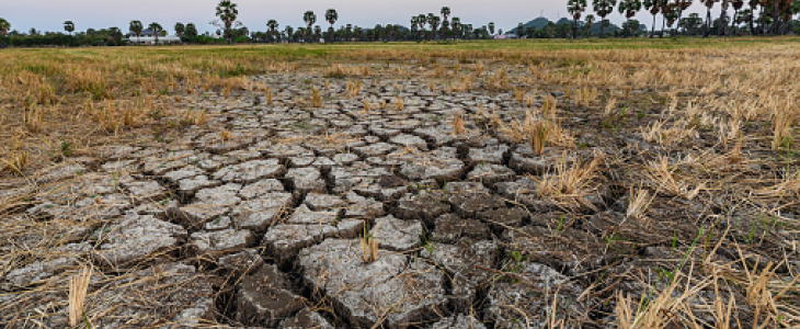 Illustration sécheresse - © GettyImages