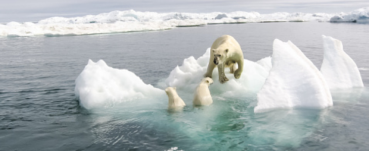 La banquise arctique diminue