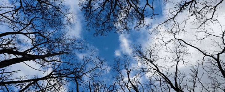 Illustration hiver sec - © GettyImages