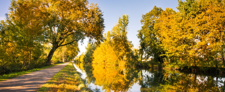 Octobre 2022 a été le mois d'octobre le plus chaud jamais enregistré.