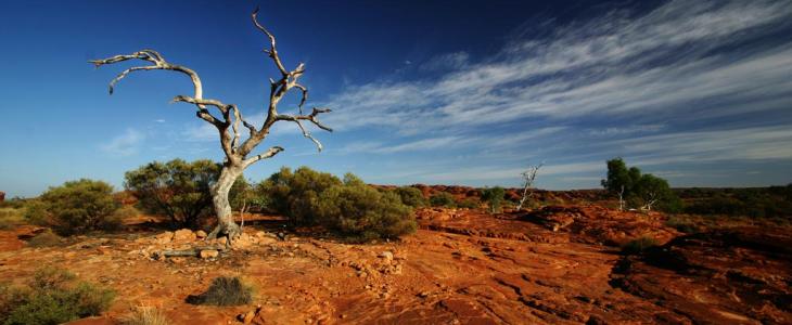 Illustration Australie