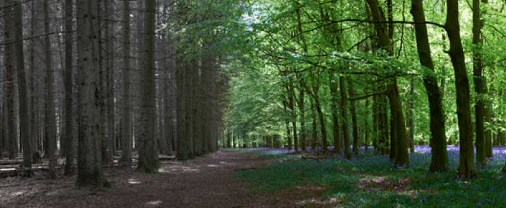 Un début de printemps très contrasté
