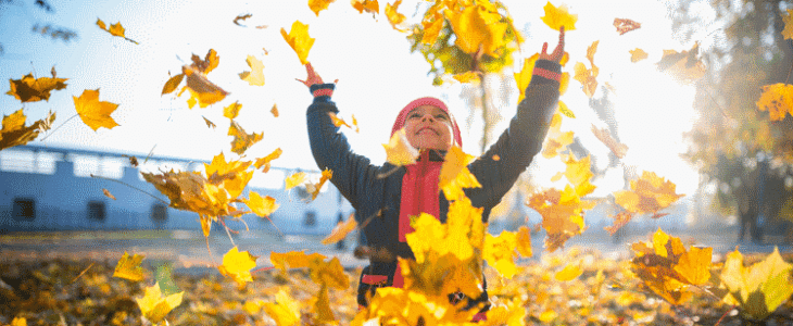 Illustration début d'automne - © GettyImages