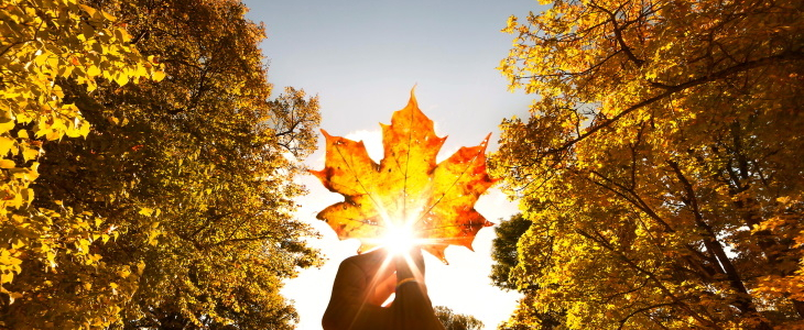 Une chaleur inédite pour une deuxième moitié d'octobre.