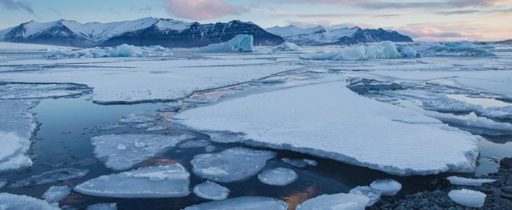 Illustration arctique