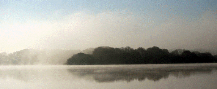 Nouvelle gelée blanche et brouillard en phase de dissipation sur le Lac au Duc (56).