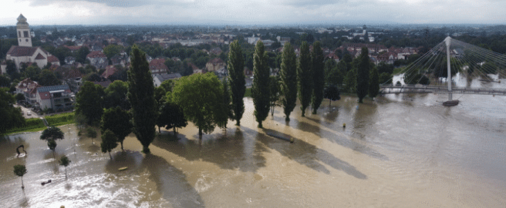Le Rhin en crue à Kehl en Allemagne ce vendredi matin.