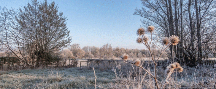 Paysage hivernal en avril 2021 dans le Nord