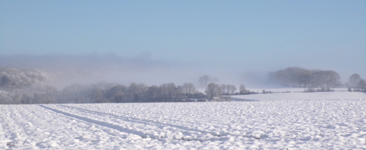 Ce mois de novembre a vu des chutes de neige en plaine, comme ici dans le Pas de Calais.