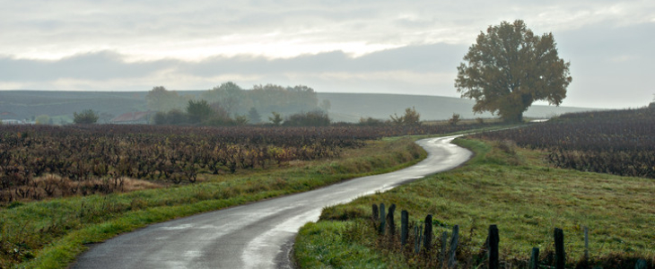 Du côté de Lantignié dans le Rhône