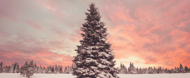 Un Noël bien doux, mais quel est le Noël le plus froid ? Le plus chaud ? Retour sur des jours de Noël mémorables.