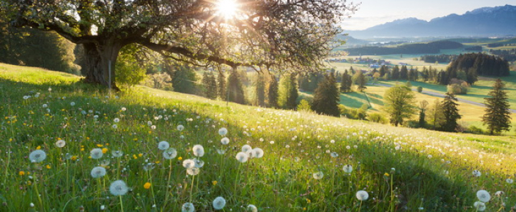 Paysage de printemps.