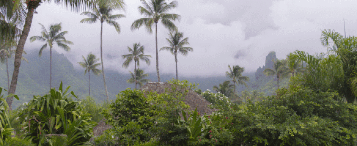 De fortes pluies concernent Tahiti 