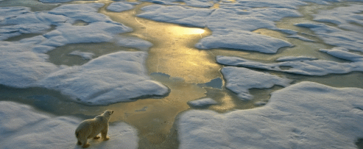 La neige et la cryosphère sont au cœur du système climatique global.