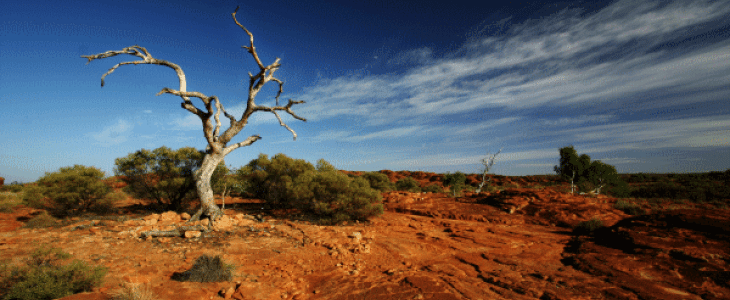 Des niveaux de chaleur records sont atteints en Australie et en Argentine. 