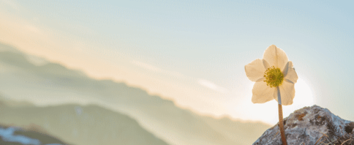 2021 s'achève dans une douceur exceptionnelle