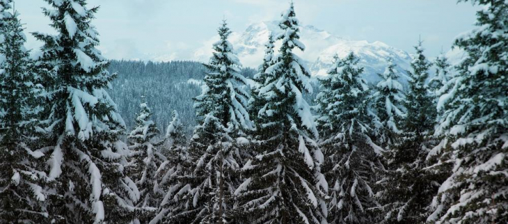 Neige sur les Pyrénées