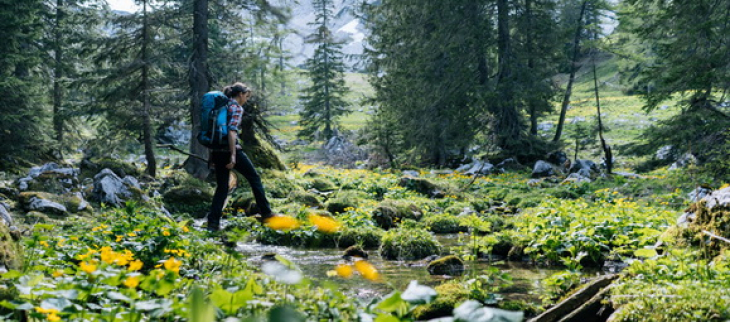 Un été assez maussade.