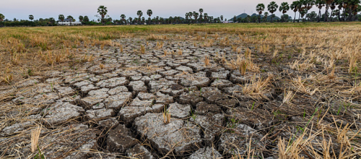 Illustration sécheresse - © GettyImages