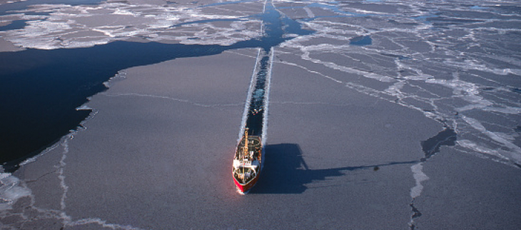 La banquise arctique