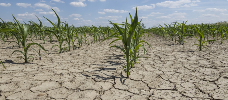 Les continents s’assèchent plus que prévu.