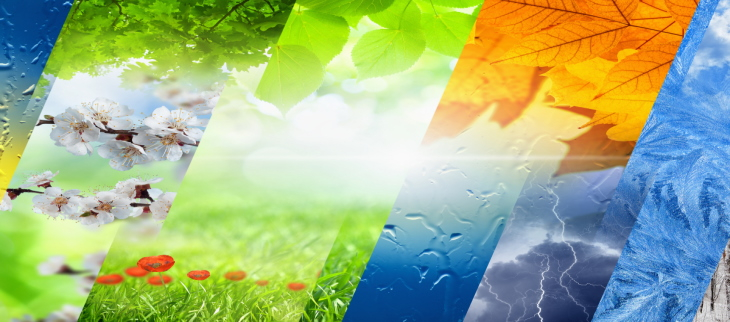 2022, année la plus chaude jamais enregistrée en France.