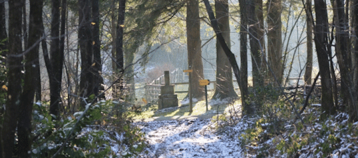 La nuit de la Saint-Sylvestre sera froide, avec des gelées parfois fortes. 