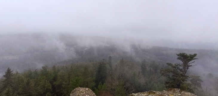 Le temps reste agité cette semaine, avec une succession d'épisodes pluvieux.