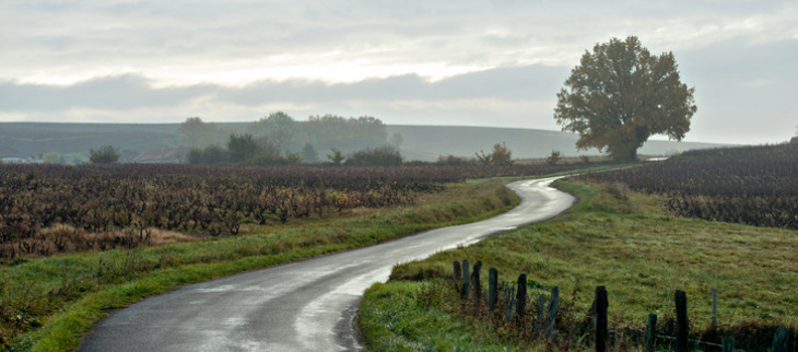 Du côté de Lantignié dans le Rhône