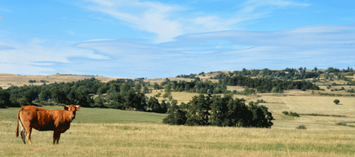 Sécheresse : presque aucune pluie depuis le début du mois