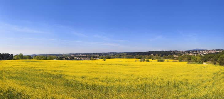 Bilan du printemps 2025