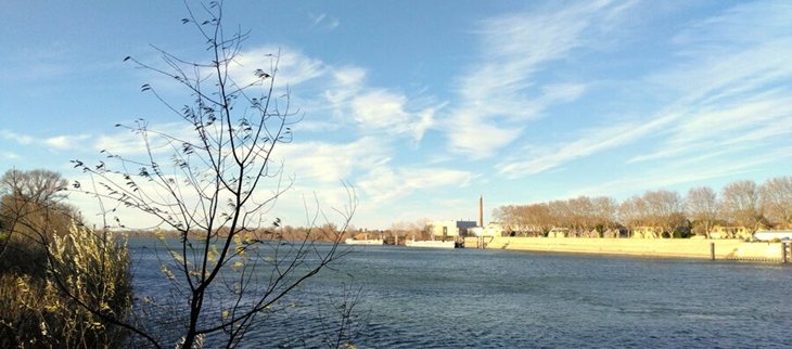 Mistral glacial en Camargue